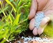 Ngành sản xuất phân bón trên thế giới trong cơn bão virut corona