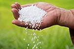 Giá phân bón Urê thế giới liên tiếp tạo kỷ lục mới