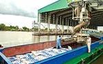 Doanh nghiệp phân bón và chuyện xuất khẩu: Nếu tắc đầu ra, tồn kho ure có thể tăng cao gấp 2 lần vào cuối năm với 461.000 tấn