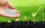Thị trường xuất khẩu phân bón 7 tháng đầu năm 2021