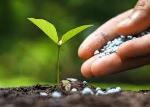 Tình hình xuất khẩu và sản xuất phân bón tháng 9, 9 tháng năm 2019